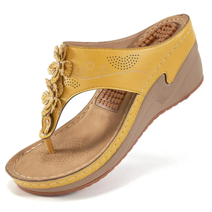 Calanthe | Women&
