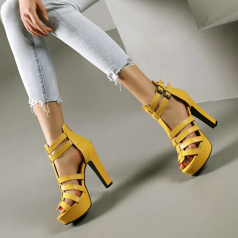 Camellia | Women&