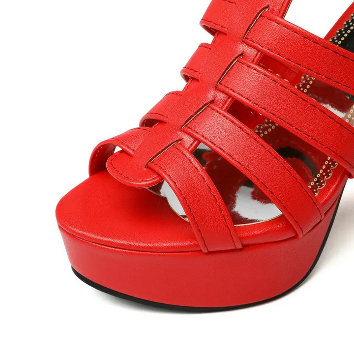 Camellia | Women&