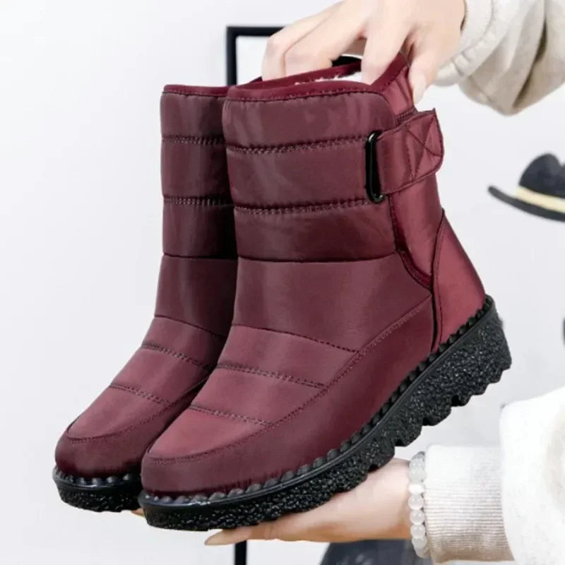 Isolabella | Women&