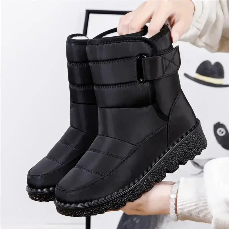 Isolabella | Women&